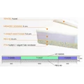 Kép 4/4 - PREMIUM DREAM hideghab matrac 80x200 cm MEMORY réteggel - 17 cm vastag